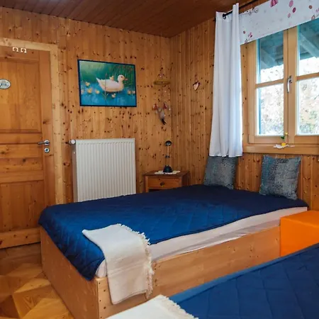 Sternschnuppe Chieming